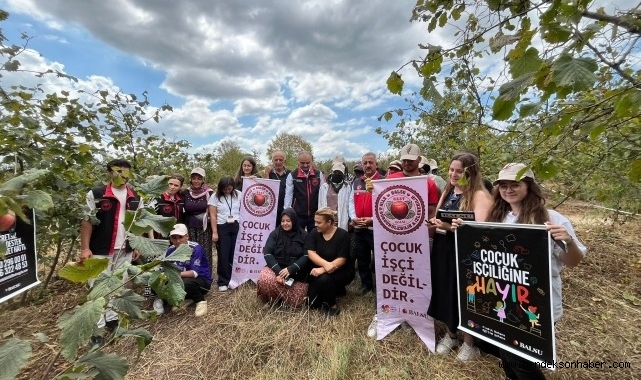 Sakarya Tarım İl Müdürü Asım Baş, Kazımiye'de Çiftçilerle Buluştu