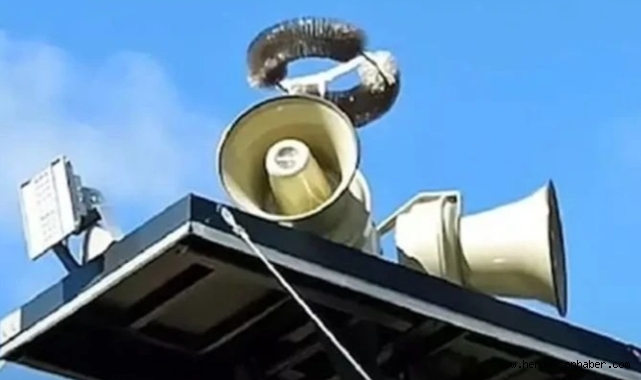 7 İlde Dev Deprem Tatbikatı: Sakarya'da 'Seviye 4' Alarmı Verilecek!