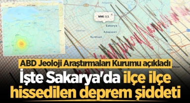 ABD Jeoloji Araştırmaları Kurumu açıkladı İşte Sakarya'da ilçe ilçe hissedilen deprem şiddeti