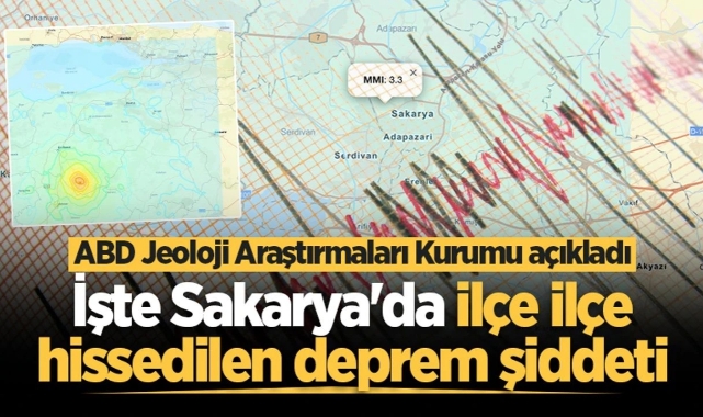 ABD Jeoloji Araştırmaları Kurumu açıkladı İşte Sakarya'da ilçe ilçe hissedilen deprem şiddeti