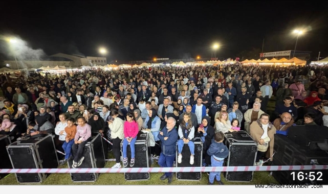 Karadeniz Rüzgarı Hendek'te Esti: 4. Kültür ve Sanat Festivali Rekorla Sona Erdi!