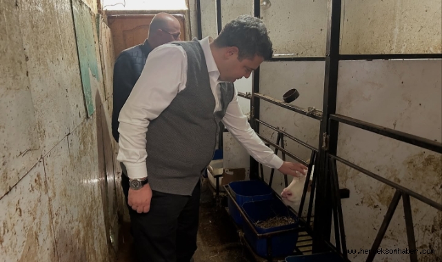 ​Gökpınar'dan Öztürk  Besi Çiftliğine Ziyaret: "Besicinin Yanındayız"