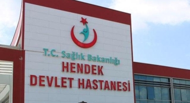 Hendek'te Hamile Kadın ​Topladıkları Mantarı Tüketti, Hastaneye Başvurdu