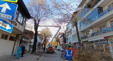 ​Hendek’te Budama Mesaisi: Dereboğazı’nda Güvenli Temizlik