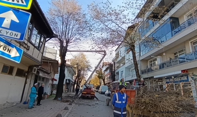 ​Hendek’te Budama Mesaisi: Dereboğazı’nda Güvenli Temizlik
