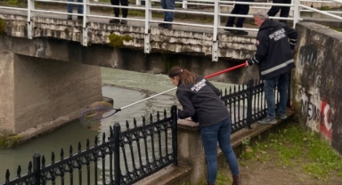 ULUDERE ÇAYI’NDA KORKUTAN MANZARA: BALIKLAR KIYIYA VURDU!