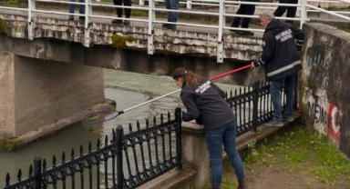 ULUDERE ÇAYI’NDA KORKUTAN MANZARA: BALIKLAR KIYIYA VURDU!