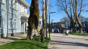 HENDEK’TE YEŞİL ALANLARDA TEMİZLİK VE AĞAÇLANDIRMA SEFERBERLİĞİ