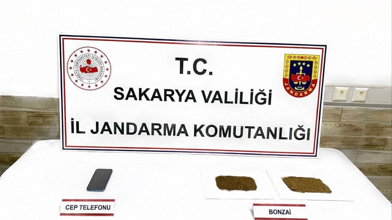 Sakarya Jandarma'dan 6 ilçede  Uyuşturucu Operasyonu