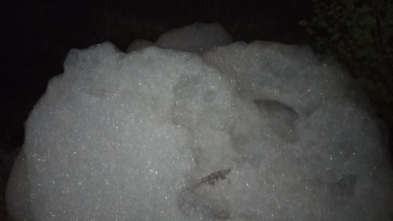 HENDEK’TE DERE KÖPÜRMESİNİN NEDENİ BELLİ OLDU