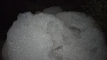 HENDEK’TE DERE KÖPÜRMESİNİN NEDENİ BELLİ OLDU