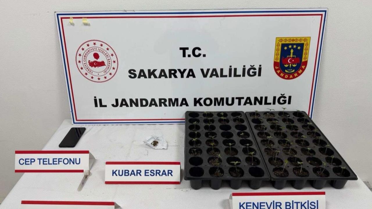 Jandarma'dan Uyuşturucu Operasyonu