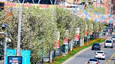 Sakarya’da baharın büyüleyici cümbüşü