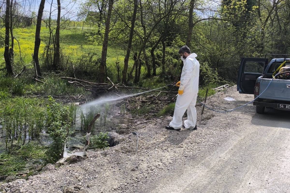 HENDEK BELEDİYESİ’NDEN SİNEK VE HAŞERELERE KARŞI ERKEN ÖNLEM