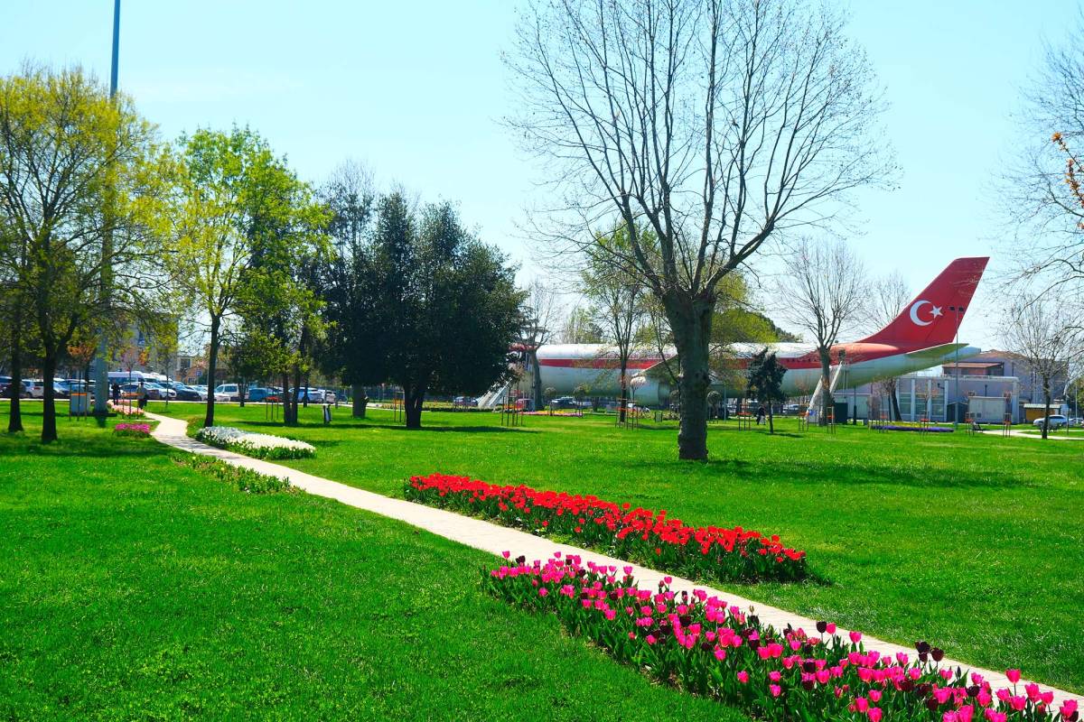 Sakarya’da baharın büyüleyici cümbüşü